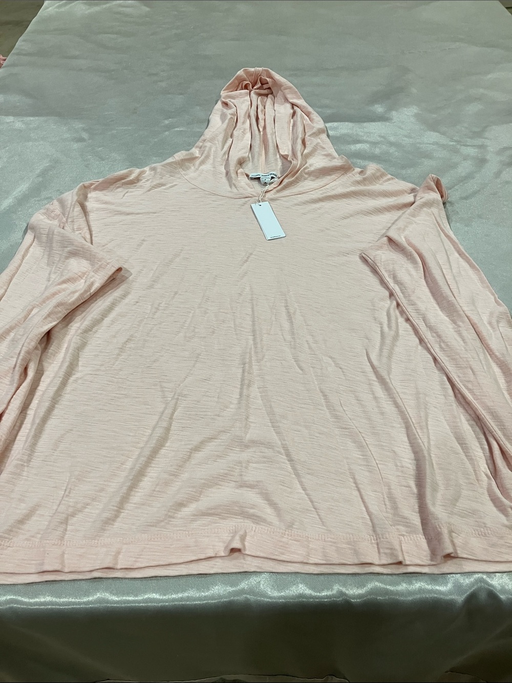 James Perse Light Pink Hooded Long Sleeve Top